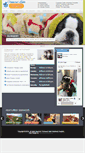 Mobile Screenshot of conneautlakeveterinaryhospital.com