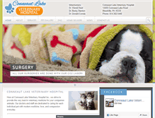 Tablet Screenshot of conneautlakeveterinaryhospital.com